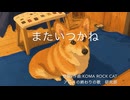 またいつかね
