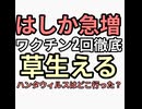 はしか激減してるのに急増と嘘ついてワクチン打たせる近親婚政府　もう日本崩壊　優しく踏ん張ってる奴から決壊しつドミノ崩壊　納税拒否