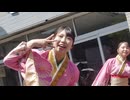 MINERVA いばよさ2026