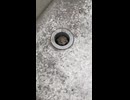 水を汲みに行ったら可愛いカエルがいたんだが