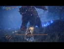 【ナイトレイン勉強動画】大赤熊　執行者　ソロ　妖刀　練習【ELDEN RING　NIGHTREIGN】