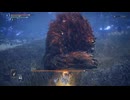 【ナイトレイン勉強動画】大赤熊　執行者　ソロ　妖刀なし　練習【ELDEN RING　NIGHTREIGN】
