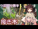 【生物解説】つむきり雑学「接ぎ木」【VOICEVOX】
