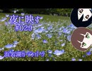 夜に映す #029 浜名湖ガーデンパーク