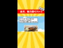 【衝撃】金沢とかいう観光最強都市www②