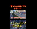警戒心が強すぎるヤヤコマ