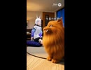 仕事の時間だ！？