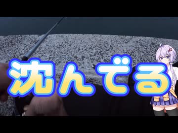 スキマ時間でフカセ釣り・pointオリジナル磯竿【VOICEROIDフィッシング】