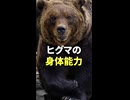 ヒグマの身体能力