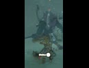 【ティアキン】ウッコ池北西のライネル　ゼルダの伝説ティアーズオブ ザキングダムNintendo Switch 2 Edition