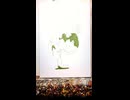 260615 2 　イラストメイキング