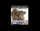 Area denial weaponという概念について
