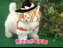 愛犬ロボ「まりな」