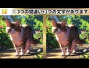 【！脳トレ+育脳に最適☆まちがい探しタイム！ 】＃553