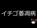 【ゆっくり朗読】ゆっくりさんと不思議な病気 その772