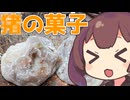 【和菓子動画祭】江戸時代の和菓子『猪の菓子』を現代によみがえらせるじょん？【ももんじゃきりたん】