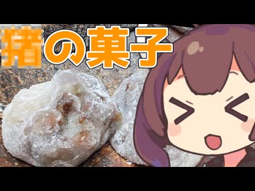 【和菓子動画祭】江戸時代の和菓子『猪の菓子』を現代によみがえらせるじょん？【ももんじゃきりたん】