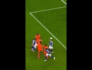 ホモと見る日本vsオランダ戦のスーパーゴール