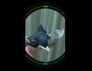 【暗視撮影】夜ナマ活