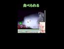あいのうた　～もな・めりあの切り抜きを添えて～