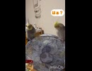 カキカキ係は？