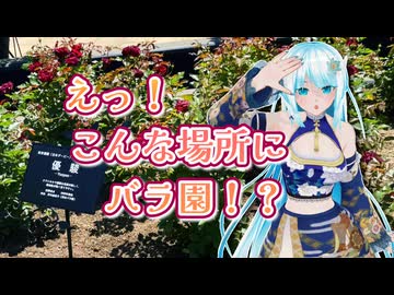 【ソフトウェアトーク旅行】えっ！？こんな場所にバラ園？【WhiteCUL】
