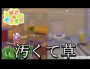 【ぽこあ】建築とは心である【ポケモン】