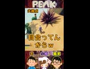 目合ってんから【PEAK】
