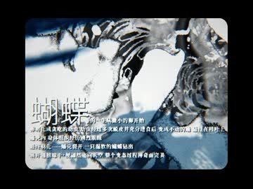 【MMGC2026 Day10 朝】迷幻洗刷