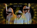 ㋰責任集合体/踊ってみた【なつあみひなぽ】