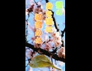 俳諧の世界　ショート版　梅と鶯　春ですなあ　宝井其角