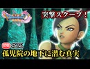 脳筋? 策士? 女闘士の実録スクープを追え【ドラクエ11S 初見】#25