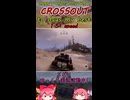 crossout　some days my best(9