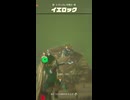 【ティアキン】ヒガッカレ平原のイエロック　ゼルダの伝説ティアーズ オブザキングダムNintendo Switch 2 Edition