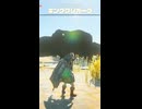 【ティアキン】ヘブラ空域に巣食うキンググリオーク ゼルダの伝説ティアーズオブザキングダNintendo Switch 2 Edition