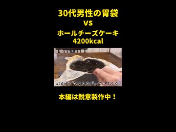 30代独身男性の胃袋 vs バスクチーズケーキ【死闘】