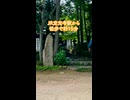 【猫神社】愛知県の山奥でネコ達に癒やされる旅をしてきた《玉野御嶽神社》