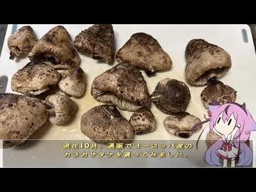 珍食材が食べたい！#234 カラカサタケ