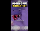 ネコが無限に追ってきてすぐにやられるんだが？99日生き残る