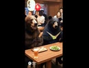 晩年会で熊！？