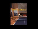 【VR卓球】格下相手に多分力んじゃった人