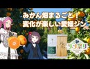 四国めたんの呑みましょ、四国 #05 近藤酒造 PACHI PACHI【ジン祭り！ジュニパーティー2026】