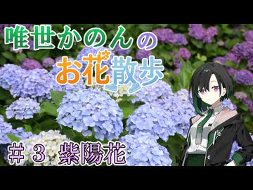 唯世かのんのお花散歩 #3 紫陽花