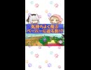 気持ちよく飛ぶペーパーに迫る影！？【カービィのエアライダー】小夜ミコのスカイア運転録～ショート版その１～