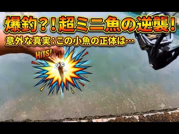 二級河川の河口でハゼ釣りやってみたよ♪