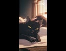 川に溺れた猫を助けて家に