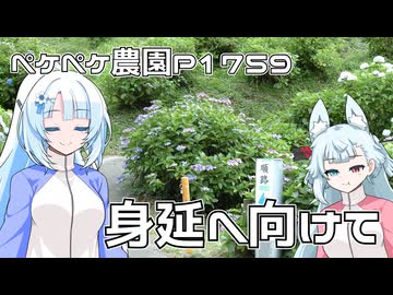 2026年6月17日　日記1759　サイクリングで身延山へゆばの旅