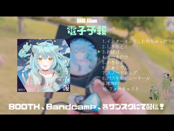 NAO3 Album 「電子予報」XFD