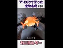カニを買った！