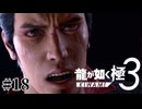 危機ではなく絶望 沖縄の魂【龍が如く極3】#18
